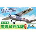セスナ機遊覧飛行体験 ペア フライトD 約20分コース
