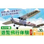 セスナ機遊覧飛行体験 ペア フライトF G