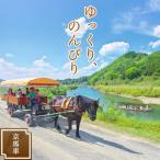 体験チケット 京馬車チケット 子ども 4歳から12歳まで 2枚