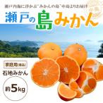 瀬戸内海の島みかん 優品 約5kg