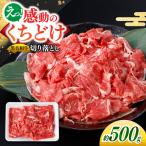牛肉切り落とし500g
