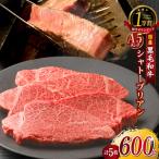 産黒毛和牛 下村牛 極上シャトーブリアン 5枚