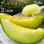 アールスメロン 2玉