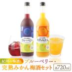 紀州の梅酒とブルーベリー 約720ml 完熟みかん梅酒 約720ml セット