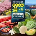 あとからセレクト 5万円 肉 マグロ 野菜 チケット