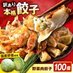 訳あり 本格 餃子 100個餃子