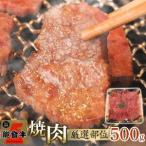 能登牛 焼肉用厳選部位 500g