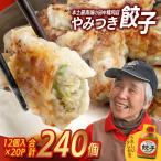 佐多の田中肉屋 ニンニク やみつき餃子 240個