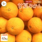 森本農園の手選別 甘夏みかん 約4.5kg