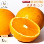 森本農園の手選別 小粒清見オレンジ 約8kg