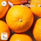 森本農園の手選別 大玉ネーブルオレンジ 約7kg