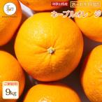 森本農園の手選別 大玉ネーブルオレンジ 約9kg