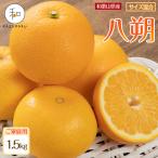 森本農園の手選別 小粒清見オレンジ 約1.5kg