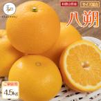 森本農園の手選別 小粒清見オレンジ 約4.5kg