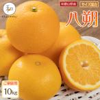 森本農園の手選別 八朔 約10kg