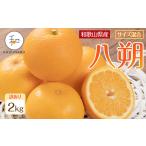 ふるさと納税 訳あり 森本農園の手選別 八朔 約2kg 和歌山県産 サイズ混合 ［北海道・沖縄・離島配送不可］［2026年1月中旬から発送予定］.. 和歌山県那智勝浦町