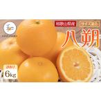 ふるさと納税 訳あり 森本農園の手選別 八朔 約6kg 和歌山県産 サイズ混合 ［北海道・沖縄・離島配送不可］［2026年1月中旬から発送予定］.. 和歌山県那智勝浦町