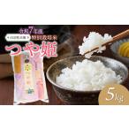 ふるさと納税 【令和7