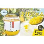 贅沢果肉 文旦ジャム 5瓶