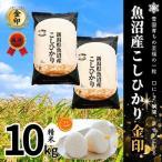 魚沼産コシヒカリ 金印 高食味米 イタバ 10kg
