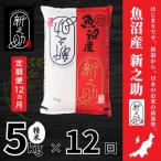 中魚沼産 新之助 しんのすけ 5kg×全12回