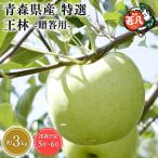 りんご 特選 王林 3kg