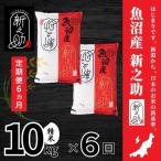 中魚沼産 新之助 しんのすけ 10kg×全6回