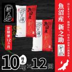中魚沼産 新之助 しんのすけ 10kg×全12回