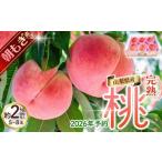 ふるさと納税 桃 山梨の桃　約2kg【tab0182-2026】 山梨県丹波山村