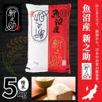 新之助 イタバ 5kg