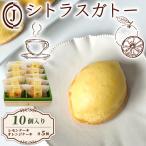 焼き菓子 シトラスガトー 10個入り