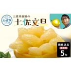文旦 約5kg