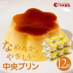 プリン3p 12個セット プリン 中央製乳