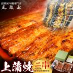 うなぎ上蒲焼2串 各100g前後