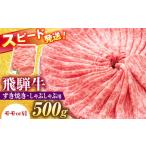ふるさと納税 飛騨牛 すき焼き しゃぶしゃぶ 両用 500g  [AZDB005] しゃぶしゃぶ 岐阜県瑞浪市