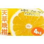 柑橘 天草晩柑 4kg