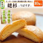姥杉 10個入
