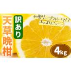 訳あり ご 柑橘 天草晩柑 約4kg