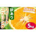 訳あり スイートスプリング 5kg