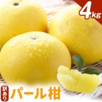 訳あり パール柑 4kg