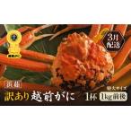 ふるさと納税 【訳あり】蟹本場 越前町から！ 越前カニ 浜茹で 特大 1杯  [e65-x006_03] 【3月発送】 福井県越前町