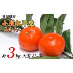 みかん 小原紅早生 約3kg
