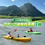 川の駅伊豆城山 カヤック体験