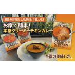 fu.... налог [ соус карри в пакете ]jaminJAMMIN 180g × 4 порций комплект / масло chi gold карри Kanagawa префектура Fujisawa город 