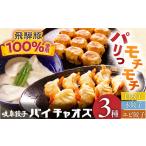 餃子 セット