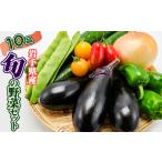 野菜セット 10品