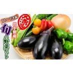 野菜セット 11品