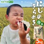 令和7年産 白米 にじのきらめき 5kg