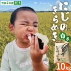 令和7年産 白米 にじのきらめき 10kg
