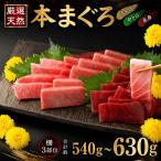 本まぐろ 食べ比べ セット 540g以上